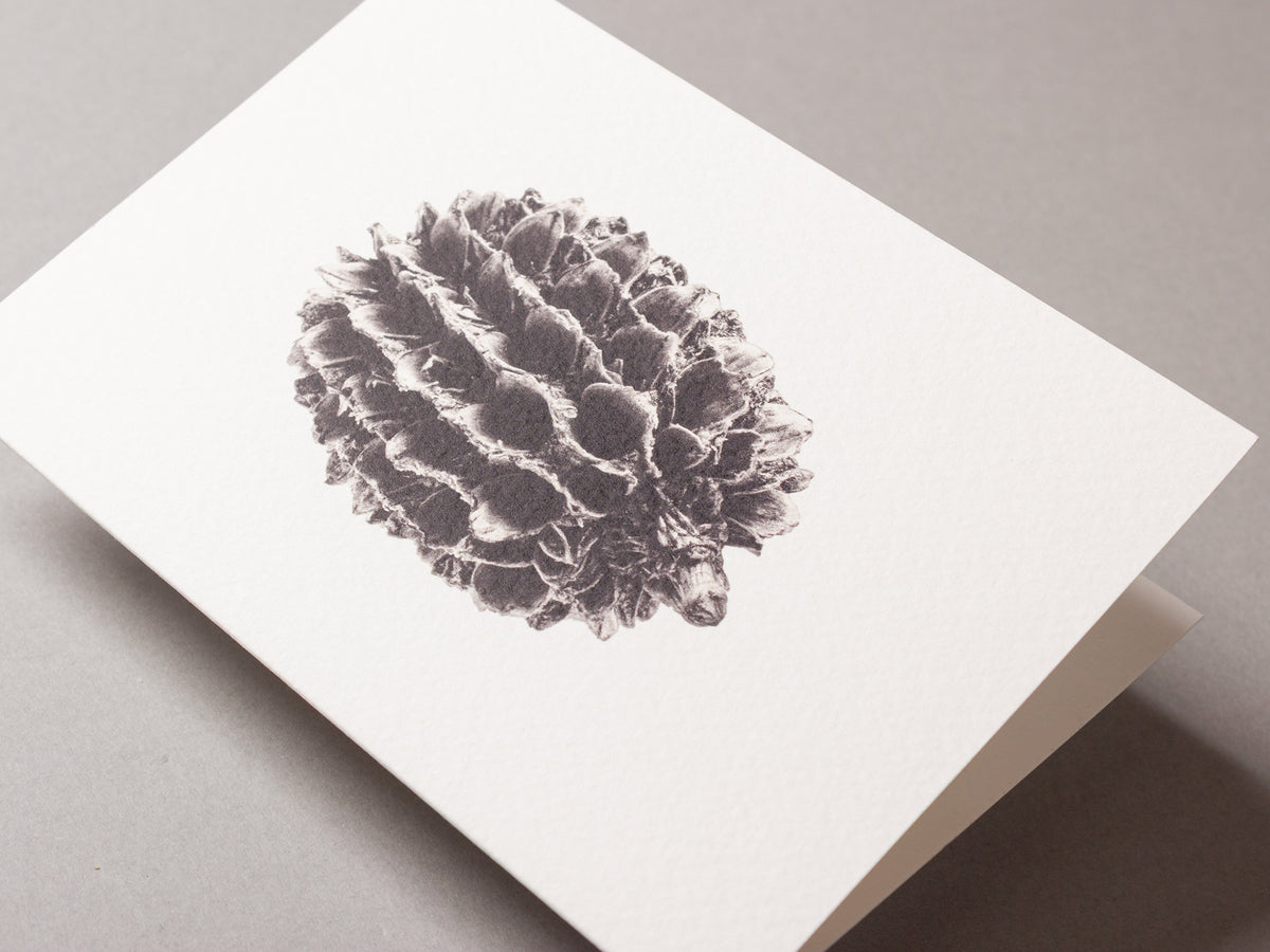 Casuarina – FOUND A6 Greeting Card