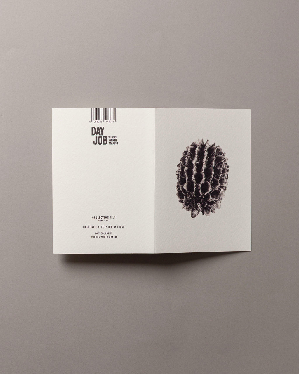 Casuarina – FOUND A6 Greeting Card