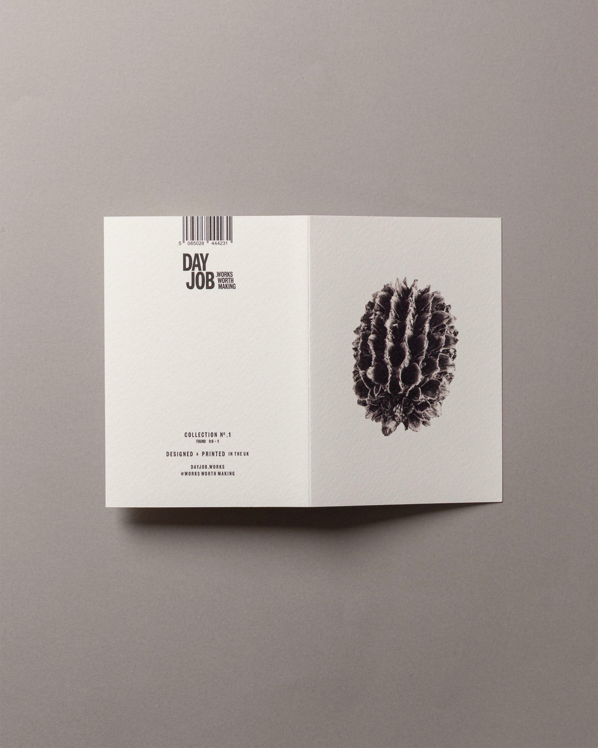 Casuarina – FOUND A6 Greeting Card