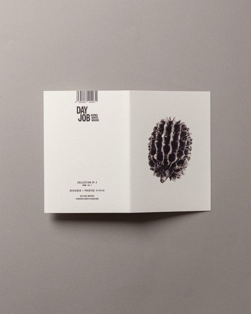 Casuarina – FOUND A6 Greeting Card