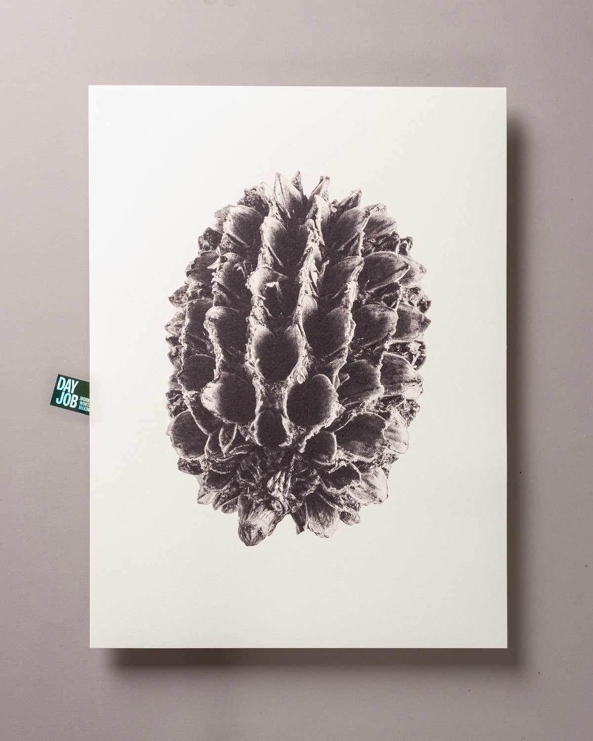 Casuarina – FOUND 30 x 40cm Art Print