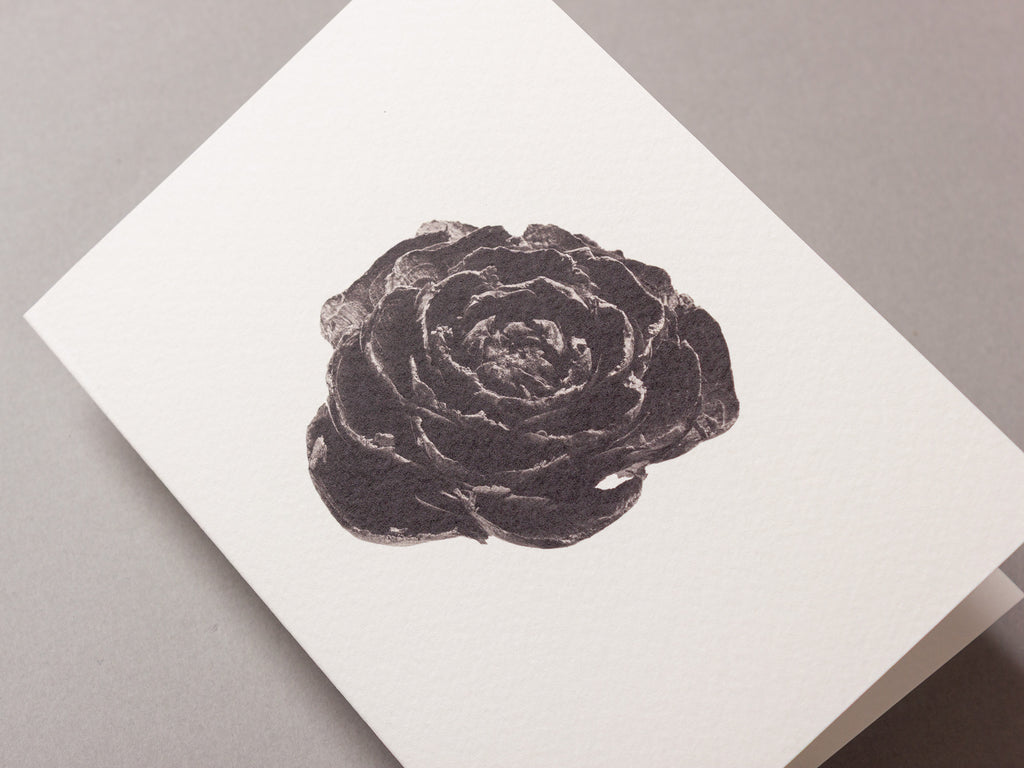 Cedar rose – FOUND A6 Greeting Card