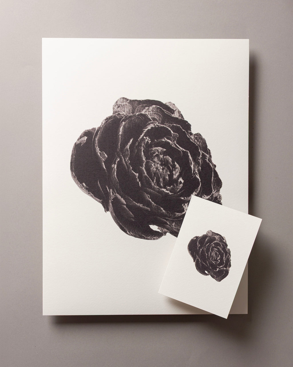 Cedar rose – FOUND A6 Greeting Card