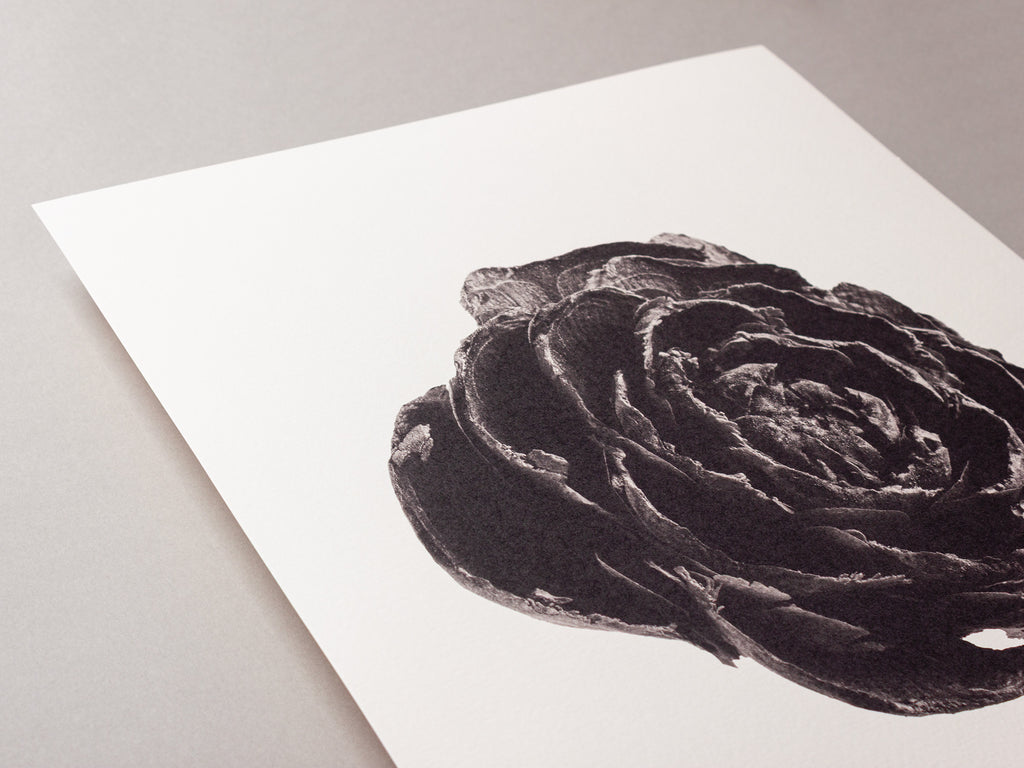 Cedar Rose – FOUND 30 x 40cm Art Print