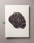 Cedar Rose – FOUND 30 x 40cm Art Print