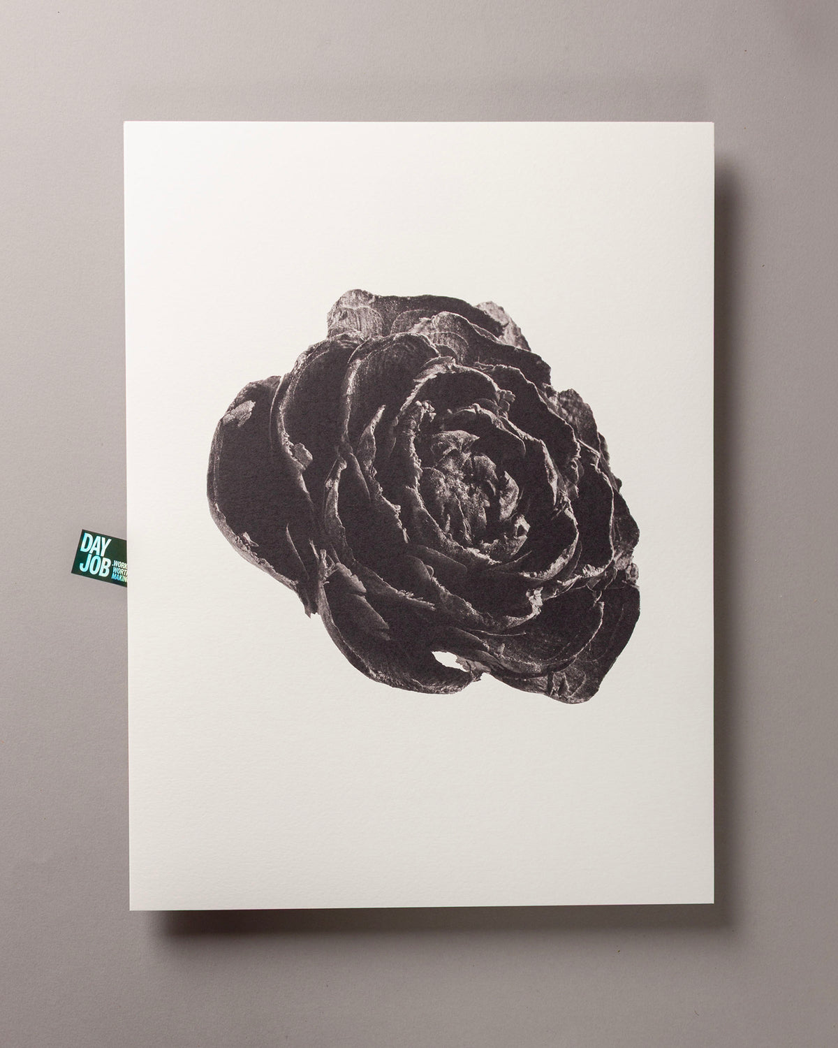 Cedar Rose – FOUND 30 x 40cm Art Print