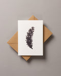 Long pine cone – FOUND A6 Greeting Card
