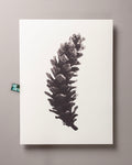 Long pine cone – FOUND 30 x 40cm Art Print
