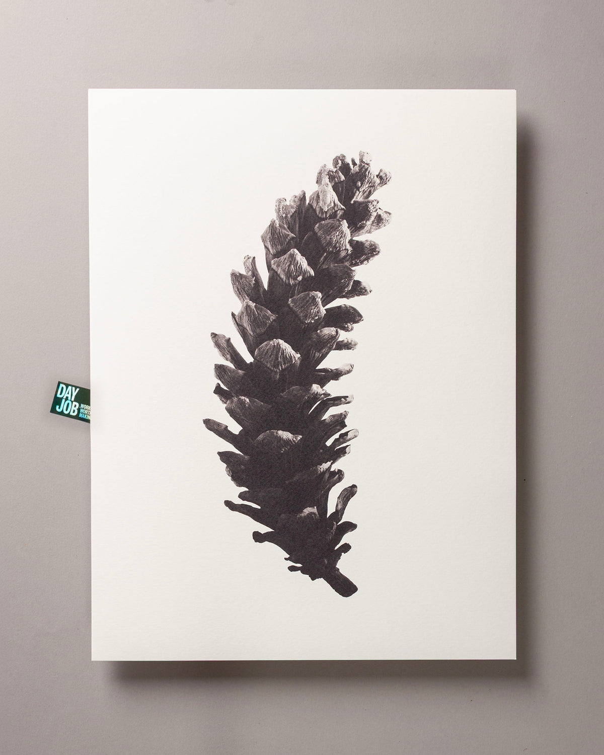 Long pine cone – FOUND 30 x 40cm Art Print
