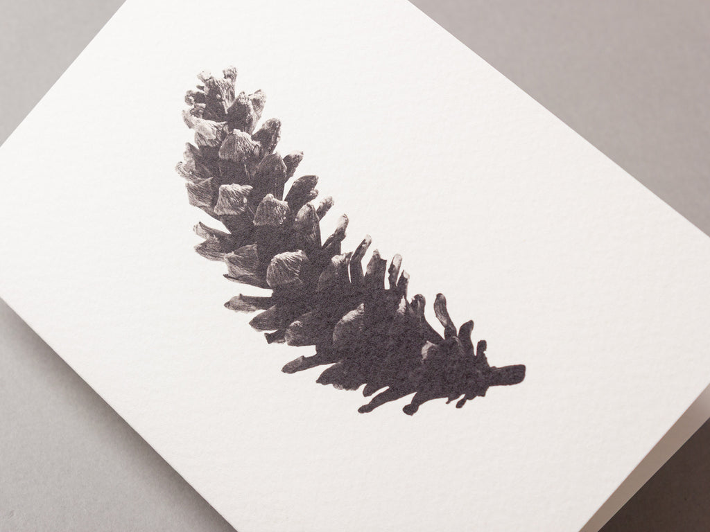 Long pine cone – FOUND A6 Greeting Card