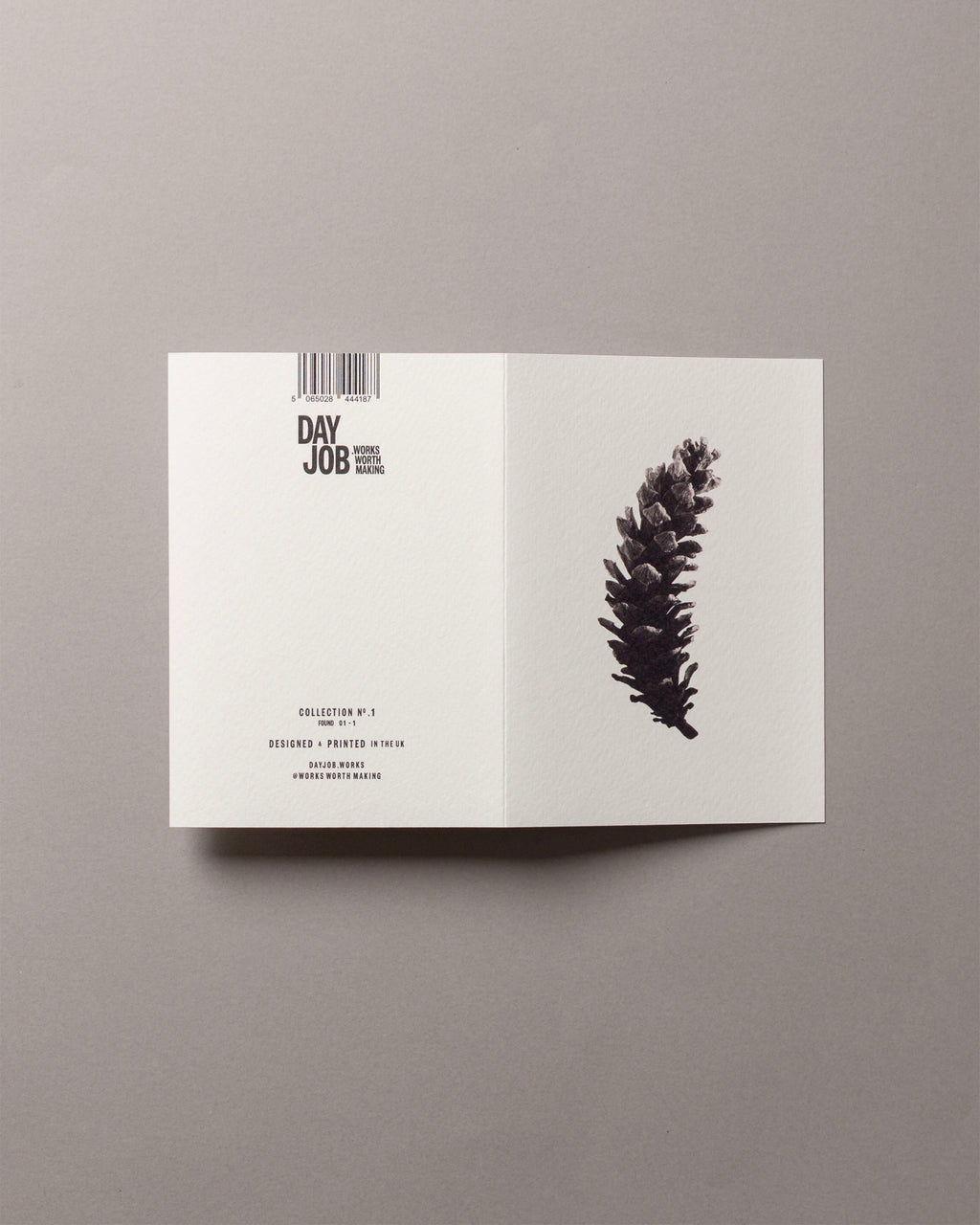 Long pine cone – FOUND A6 Greeting Card