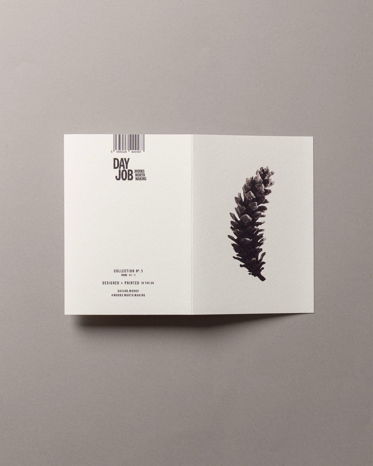 Long pine cone – FOUND A6 Greeting Card
