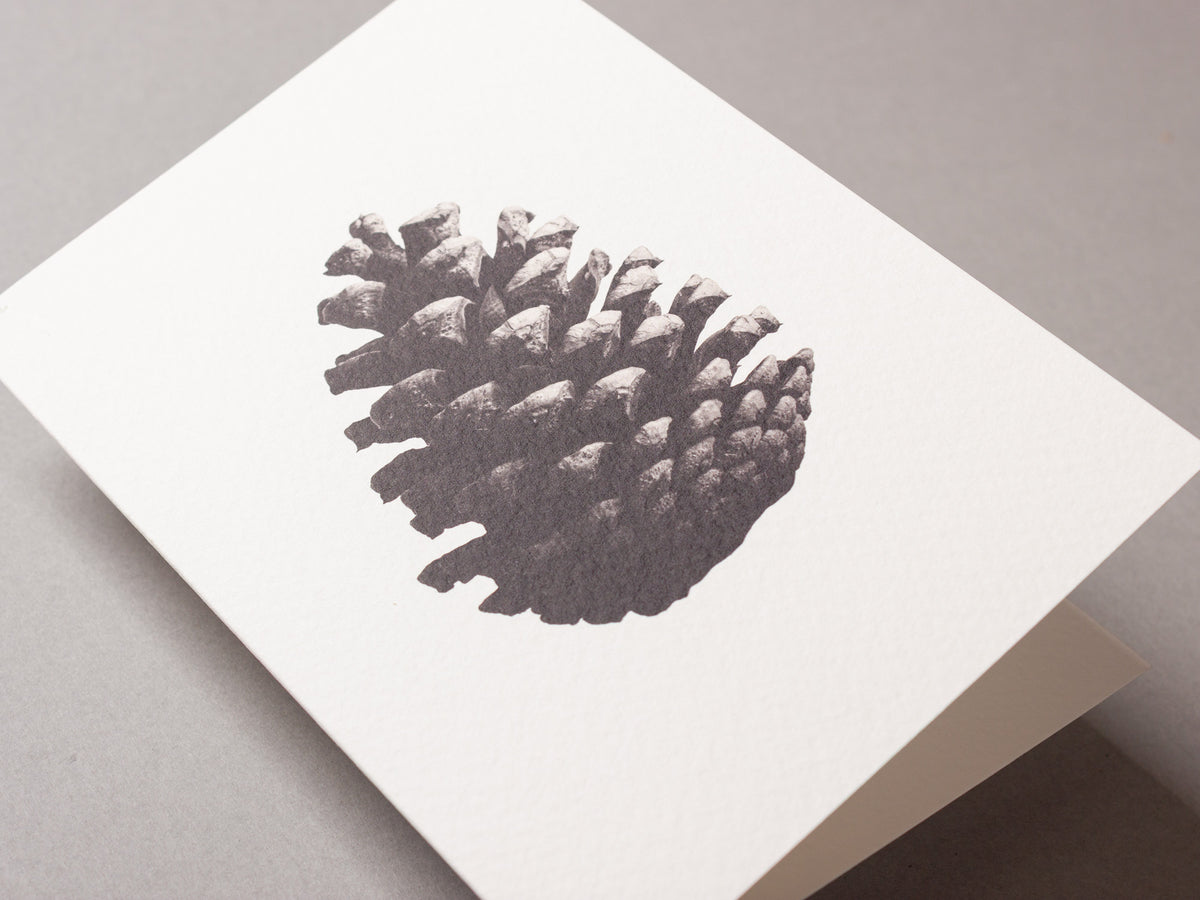 Pine cone – FOUND A6 Greeting Card