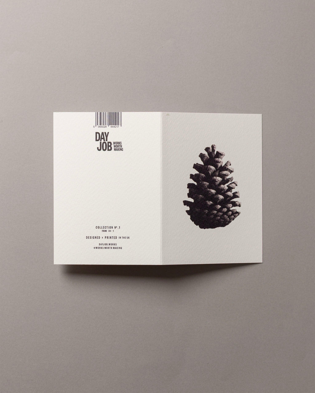 Pine cone – FOUND A6 Greeting Card