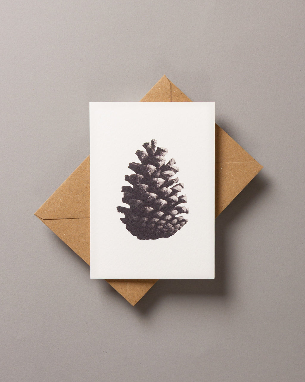 Pine cone – FOUND A6 Greeting Card