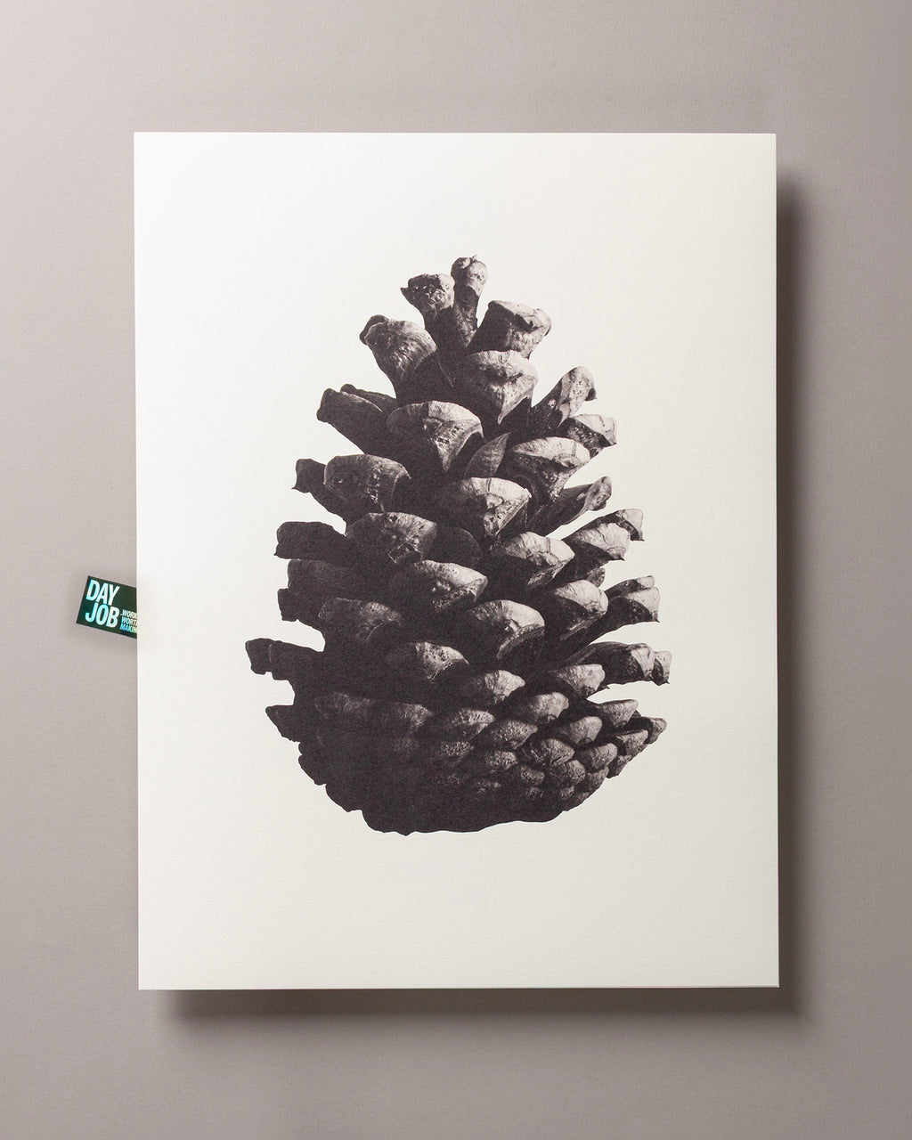 Pine cone – FOUND 30 x 40cm Art Print