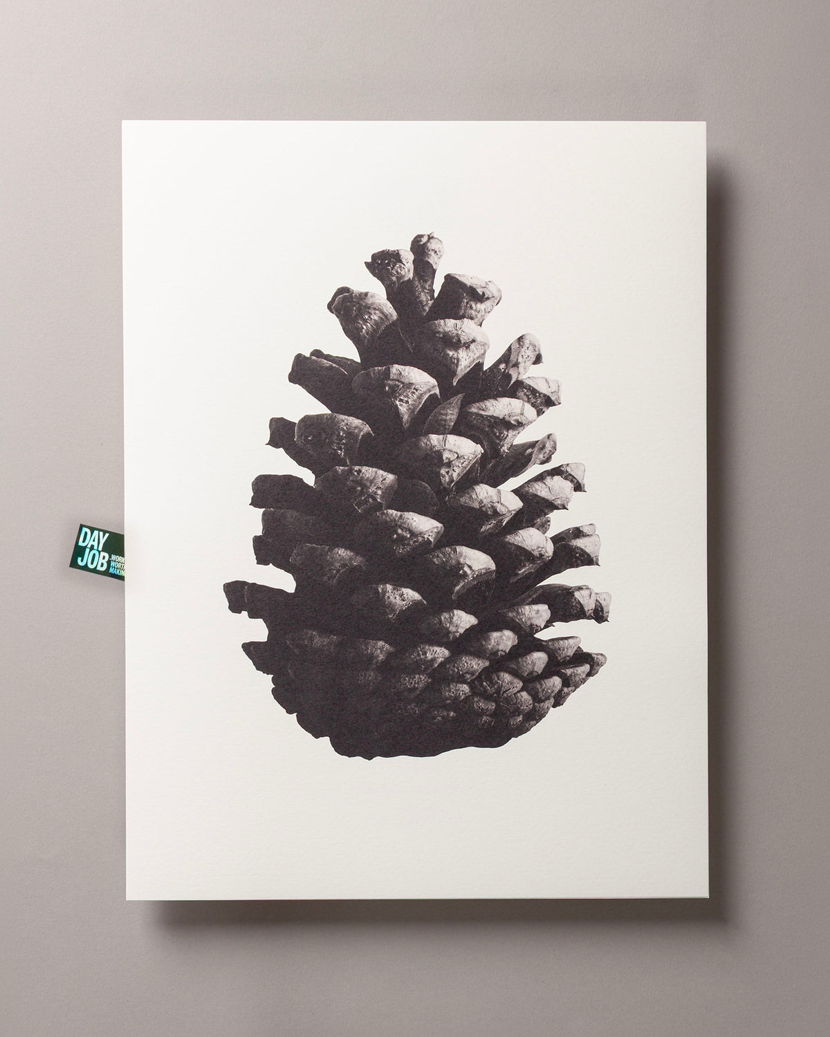 Pine cone – FOUND 30 x 40cm Art Print