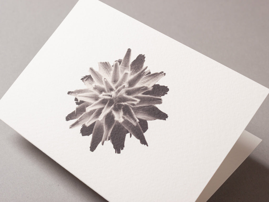 Plumosum – FOUND A6 Greeting Card