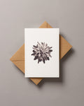 Plumosum – FOUND A6 Greeting Card