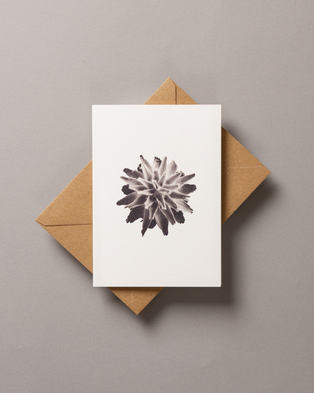 Plumosum – FOUND A6 Greeting Card