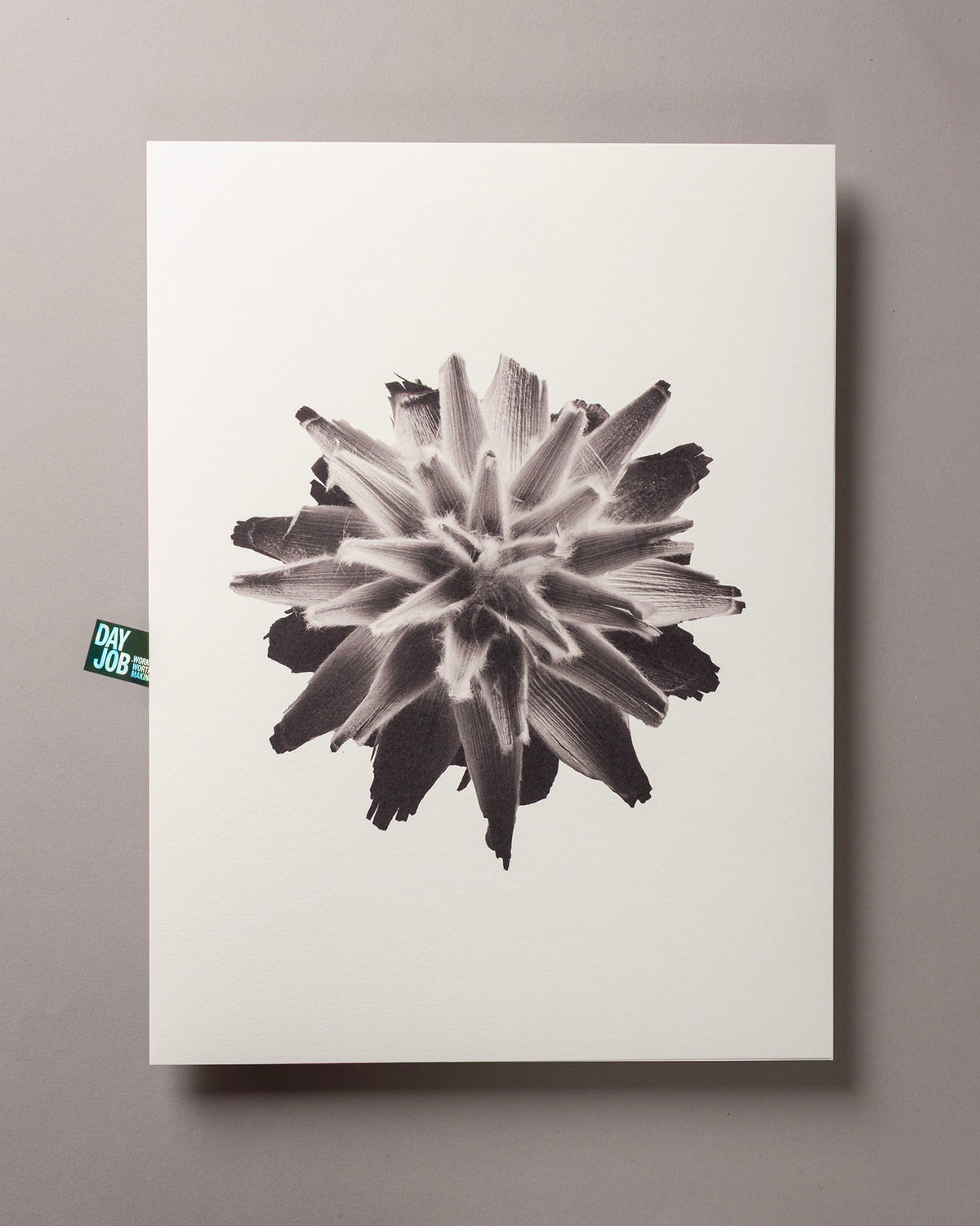 Plumosum – FOUND 30 x 40cm Art Print