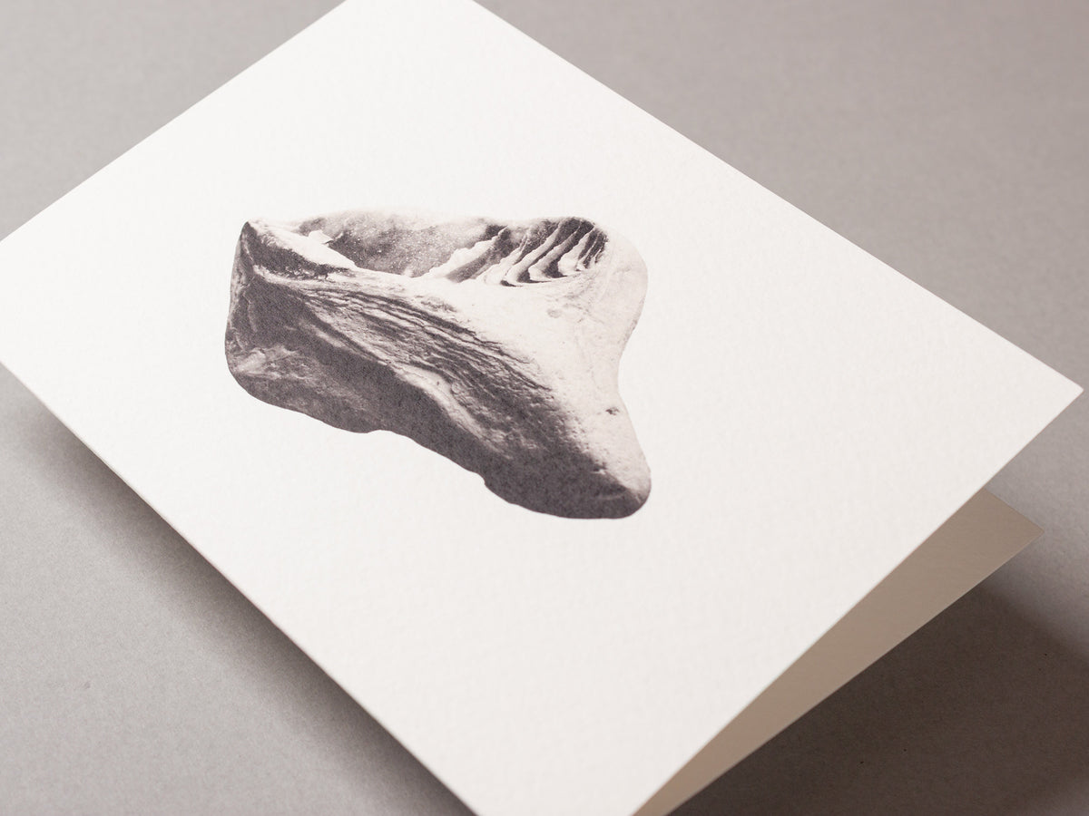 Weathered Seashell – FOUND A6 Greeting Card