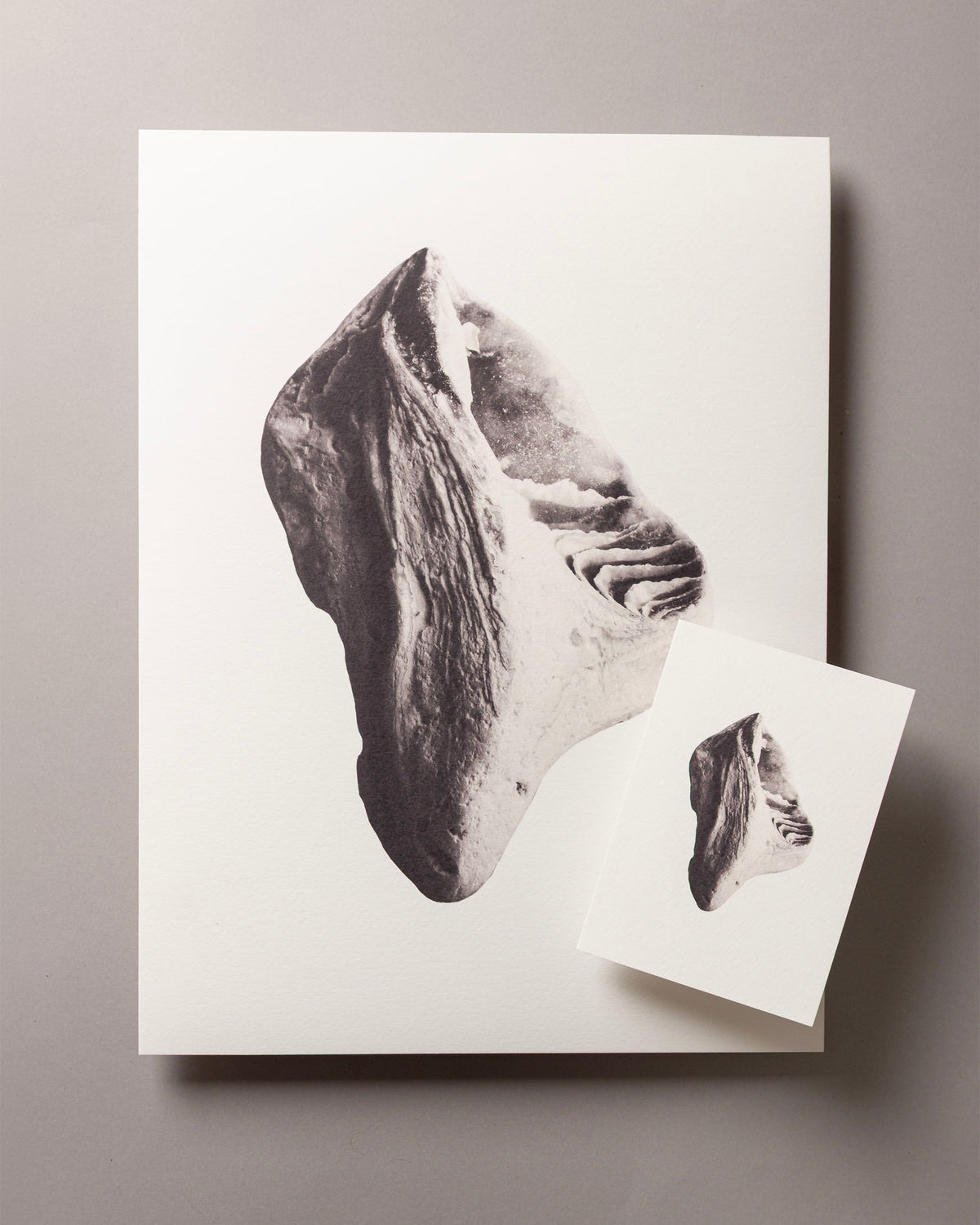 Weathered Seashell – FOUND A6 Greeting Card