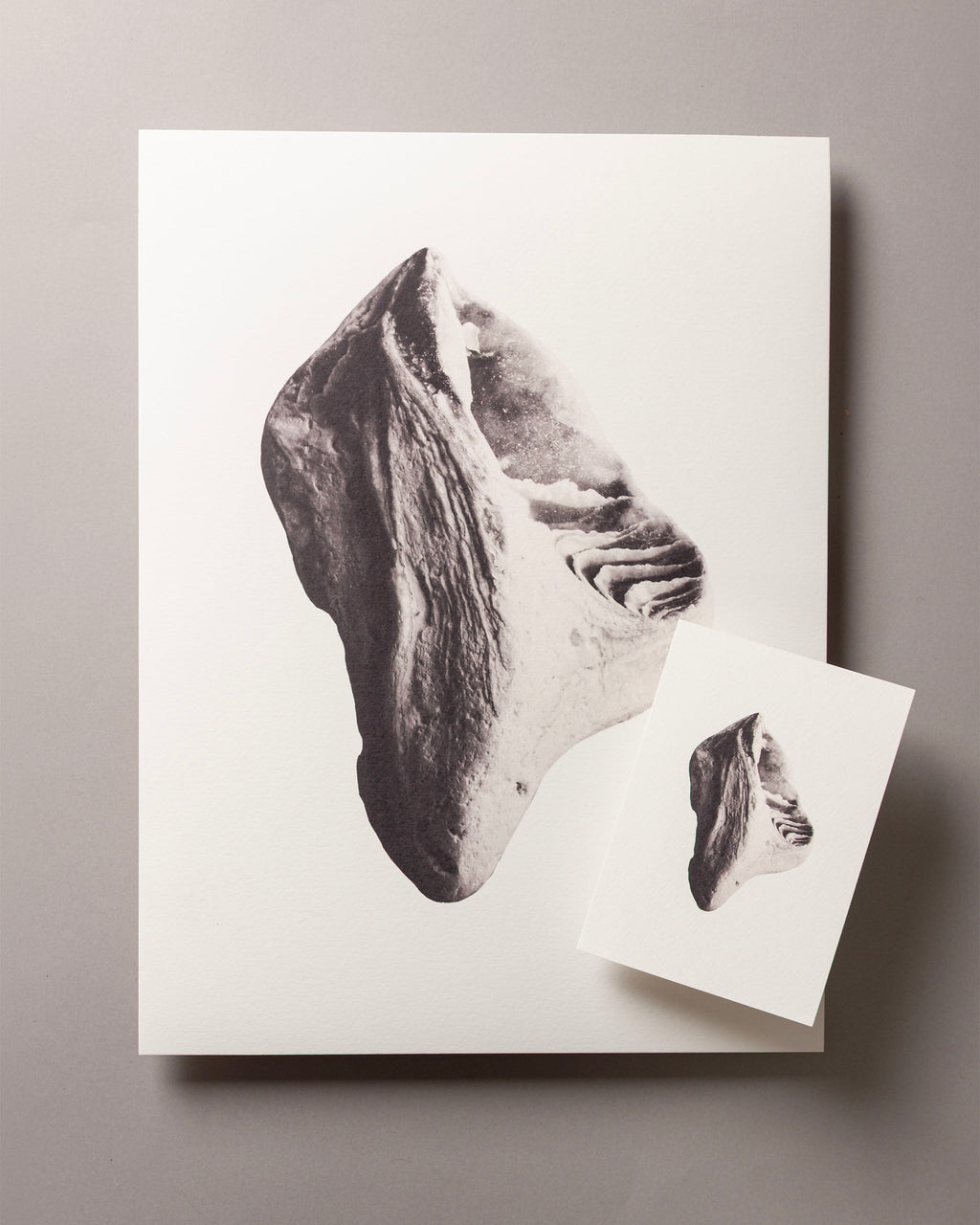 Weathered seashell – FOUND 30 x 40cm Art Print