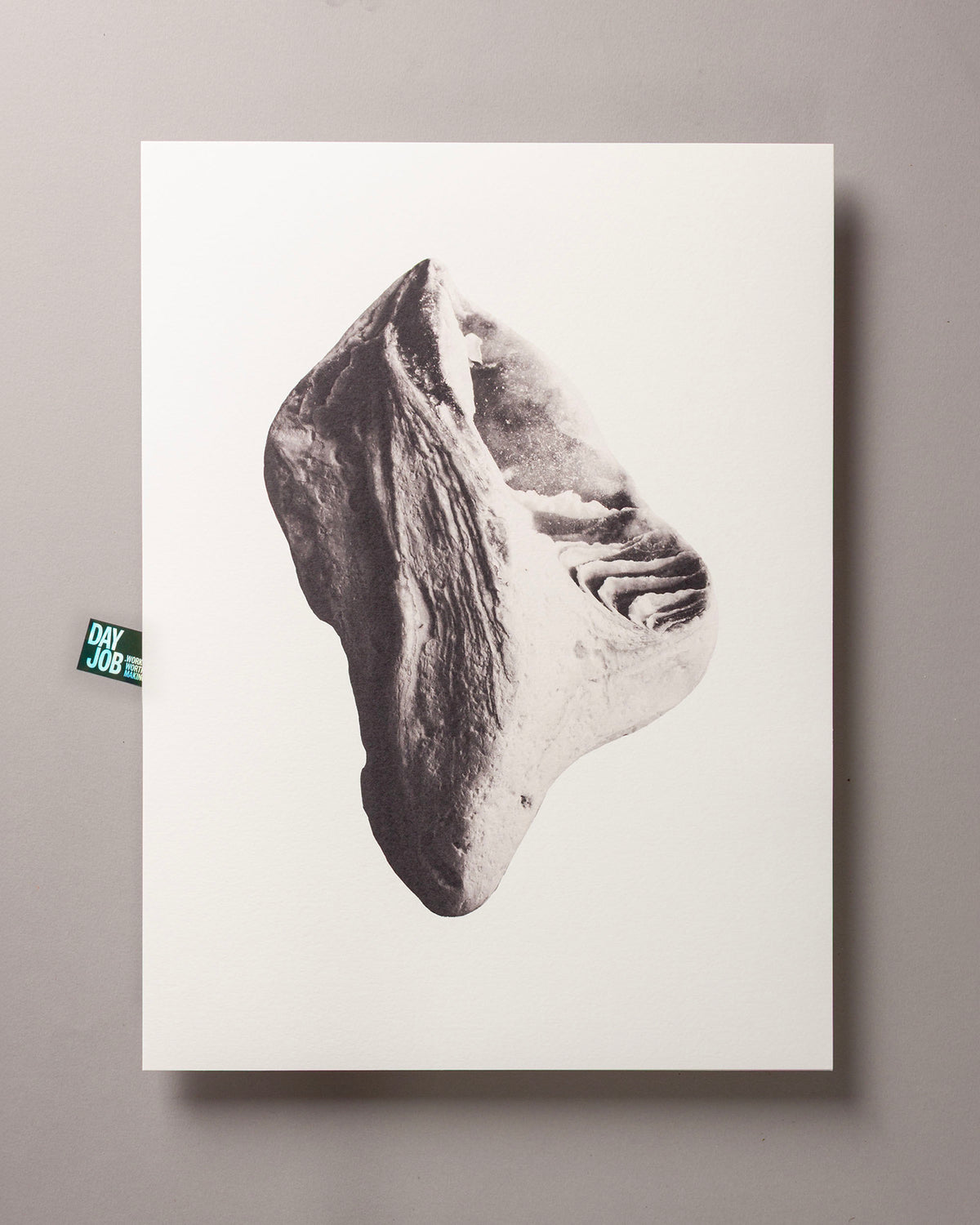 Weathered seashell – FOUND 30 x 40cm Art Print