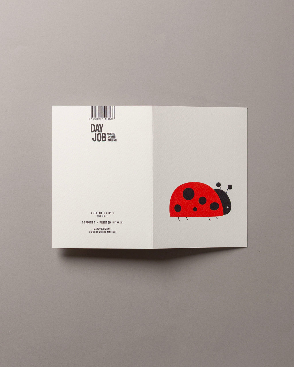 Ladybird – WILD A6 Greeting Card