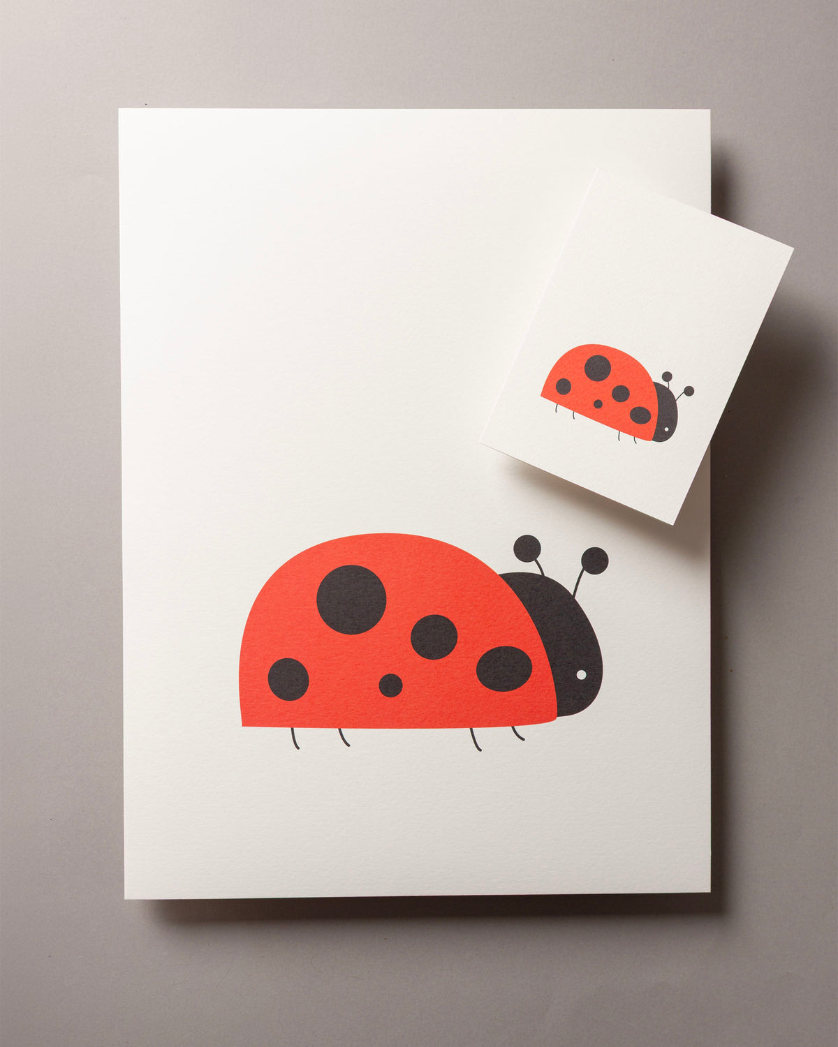 Ladybird – WILD A6 Greeting Card